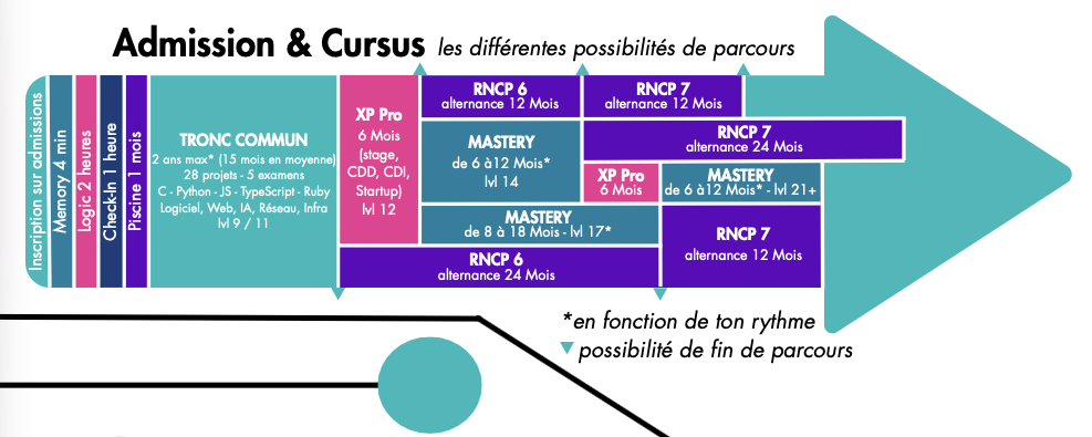 frise chronologique cursus école 42