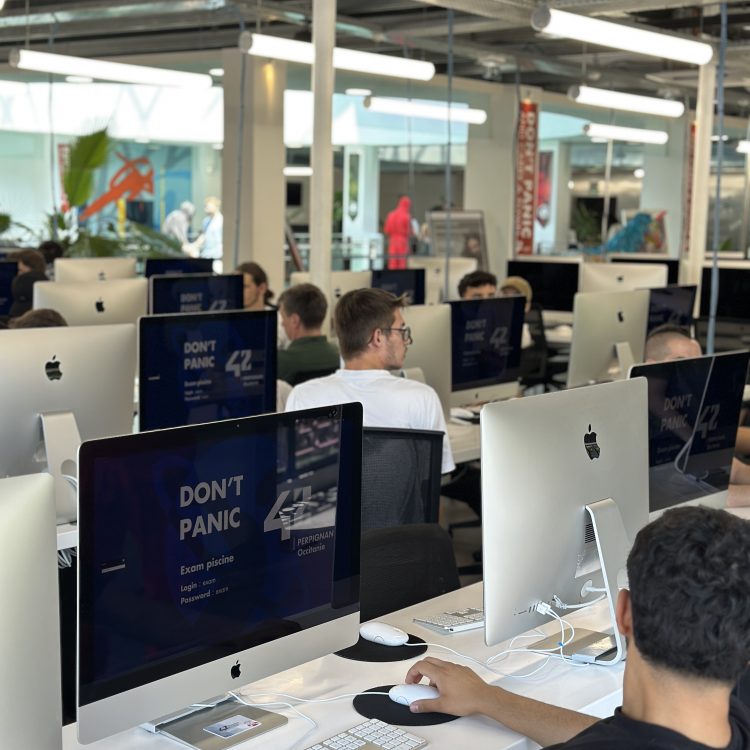 étudiants qui travail dans un cluster de 42 Perpignan Occitanie