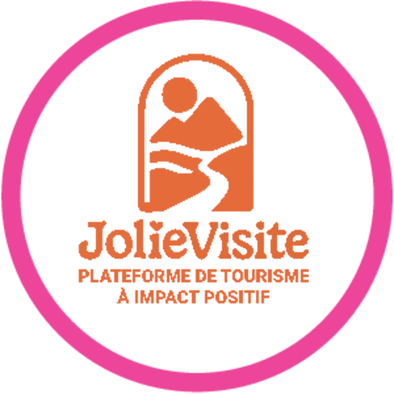 logo JolieVisite